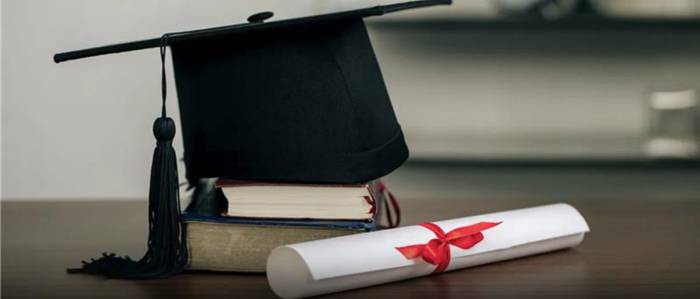 Master of Fine Arts (MFA)